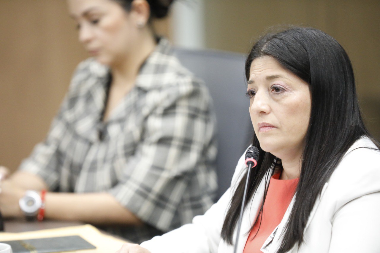 Imagen principal del artículo: Viceministra confirma haber aprovechado ausencia de Mary Munive para derogar norma de aborto terapéutico