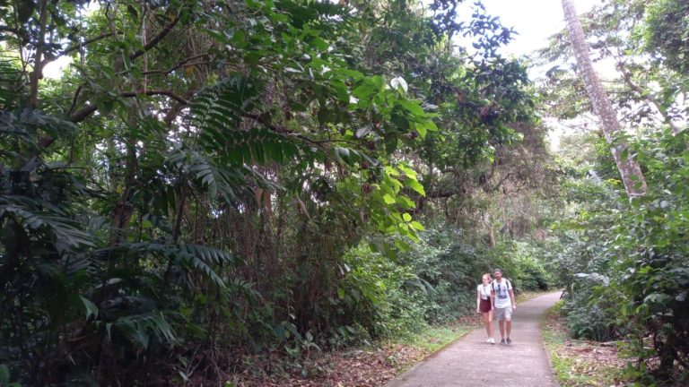 MINAE y SINAC recuerdan la importancia de practicar un turismo responsable en áreas protegidas