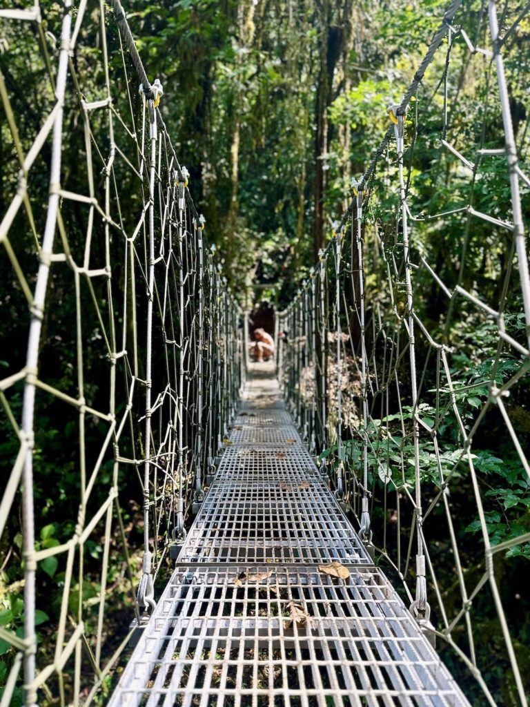Puente Colgante Saldí une seguridad, esperanza y oportunidades en Nairi Awari