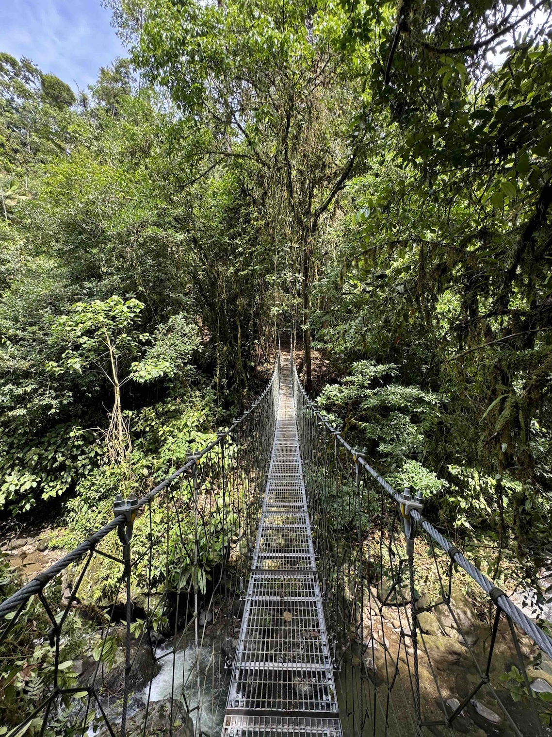 Imagen principal del artículo: Sala IV estudiará reglas para actividades turísticas en terrenos del Patrimonio Natural del Estado
