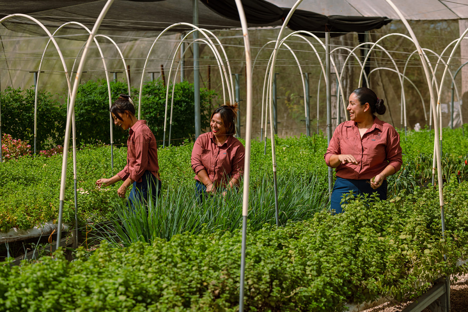 Imagen principal del artículo: Huerta Najui impulsa liderazgo femenino y agricultura sostenible en Guanacaste