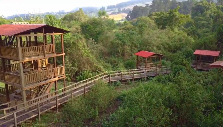 Parque Ambiental Municipal Río Loro celebra 17 años con actividades culturales y enfoque ambiental