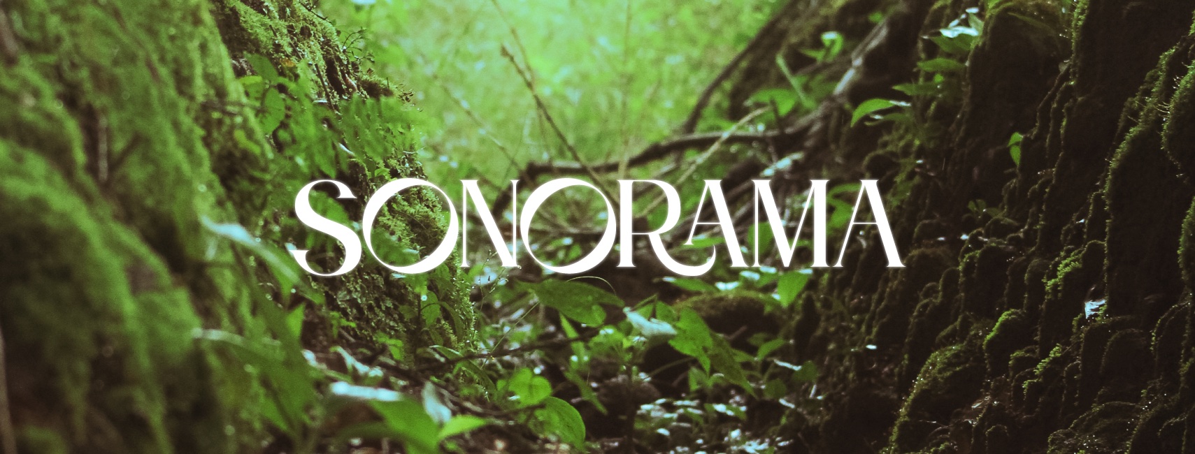 Imagen principal del artículo: Sonorama presenta su álbum debut “Dulce Delirio”