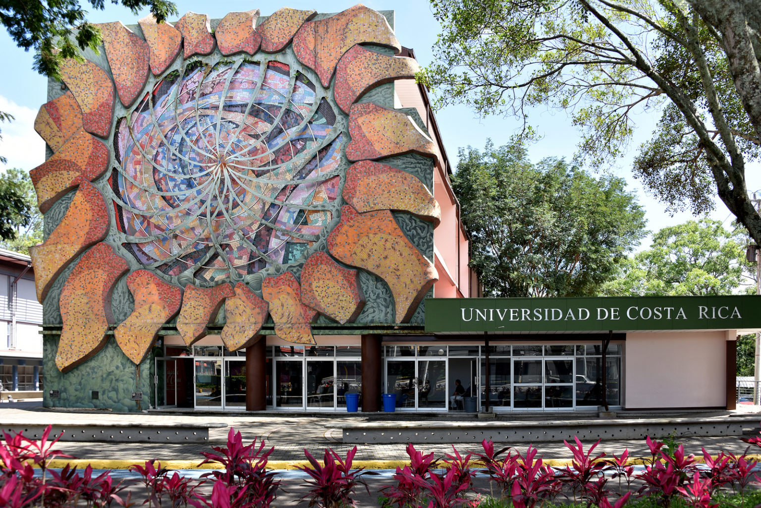 Imagen principal del artículo: Sala IV condena a UCR por brindar información incompleta sobre expedientes disciplinarios