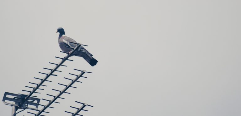 La subasta que amenaza el pluralismo: ¿por qué Costa Rica puede debilitar o desaparecer voces regionales?