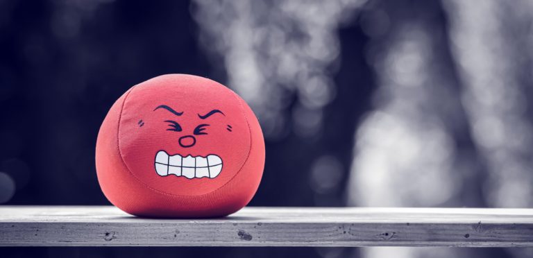 Sociedad de la furia