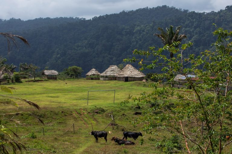 Costa Rica presenta en Brasil su modelo nacional de gobernanza indígena para la gestión de los bosques