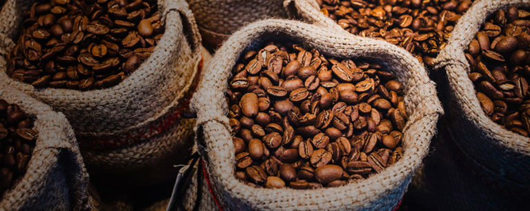 Sector cafetalero recibirá a candidatos presidenciales en foro “Vamos al Grano sobre el Futuro del Café”