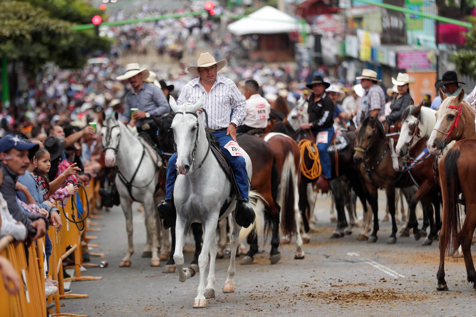 Imagen principal del artículo: Colegio de Veterinarios brinda recomendaciones para el manejo de caballos en próximos topes y cabalgatas