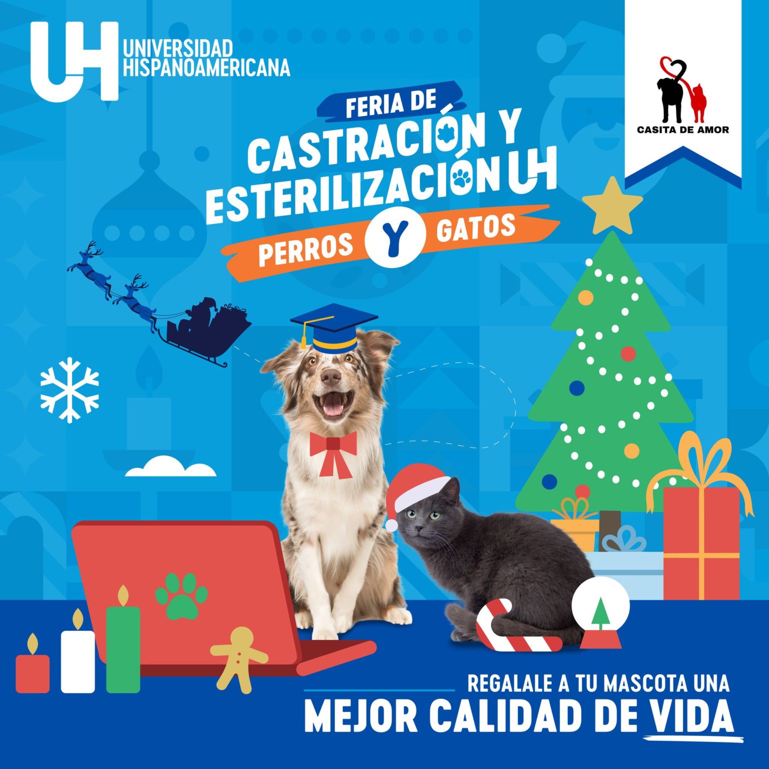 Imagen principal del artículo: Feria de castración de perros y gatos en beneficio de la población de la Fundación Casita de Amor