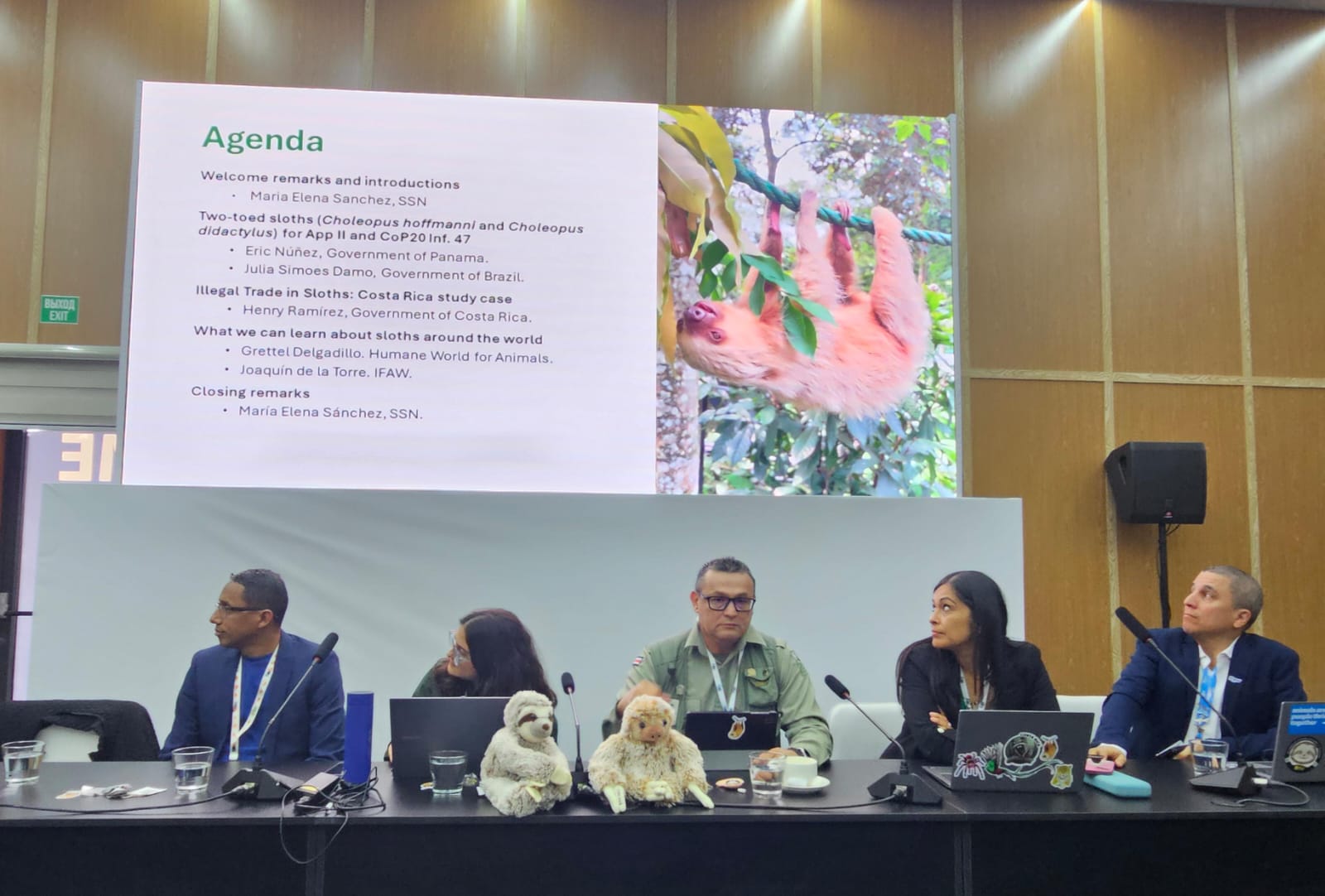 Imagen principal del artículo: Costa Rica respalda nuevas protecciones para tiburones, rayas y pepinos de mar en la COP20 CITES