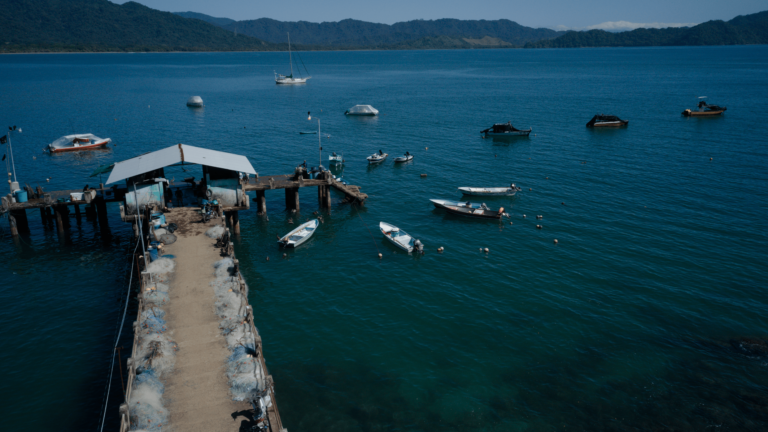 Comunidades pesqueras cierran 2025 con avances en derechos y una agenda clara para 2026