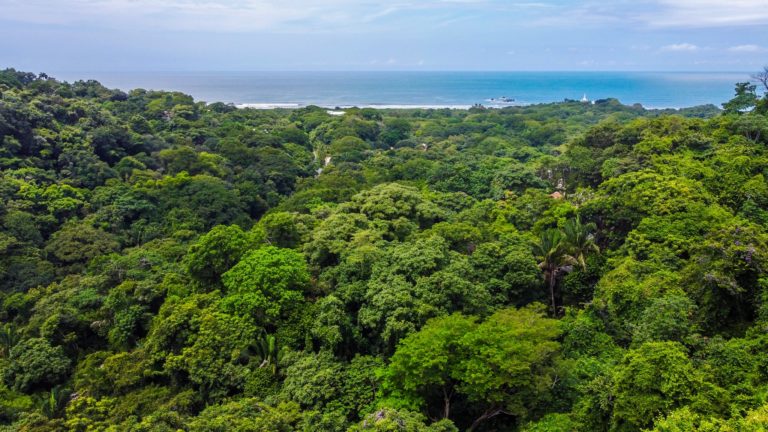 Nosara: naturaleza, bienestar y turismo responsable para cerrar e iniciar el año