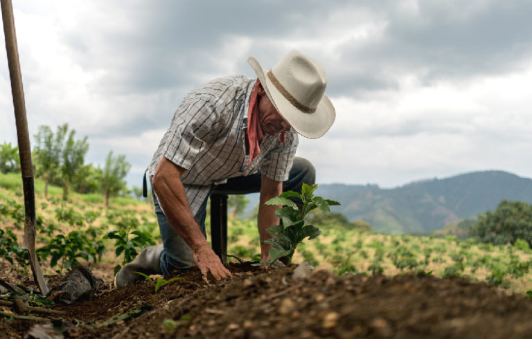 Banco Popular lanza Agrocadenas Productivas para impulsar la competitividad y sostenibilidad del sector agropecuario