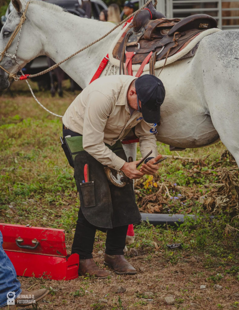 Tope Nacional 2025: tradición, verdad histórica y bienestar animal