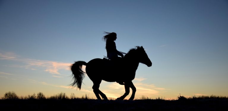El maltrato animal como fractura de la legitimidad cultural