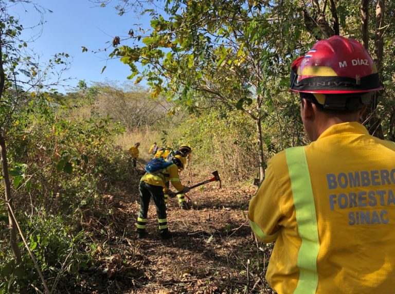 Inicia la temporada de incendios 2026: autoridades llaman a extremar medidas de prevención