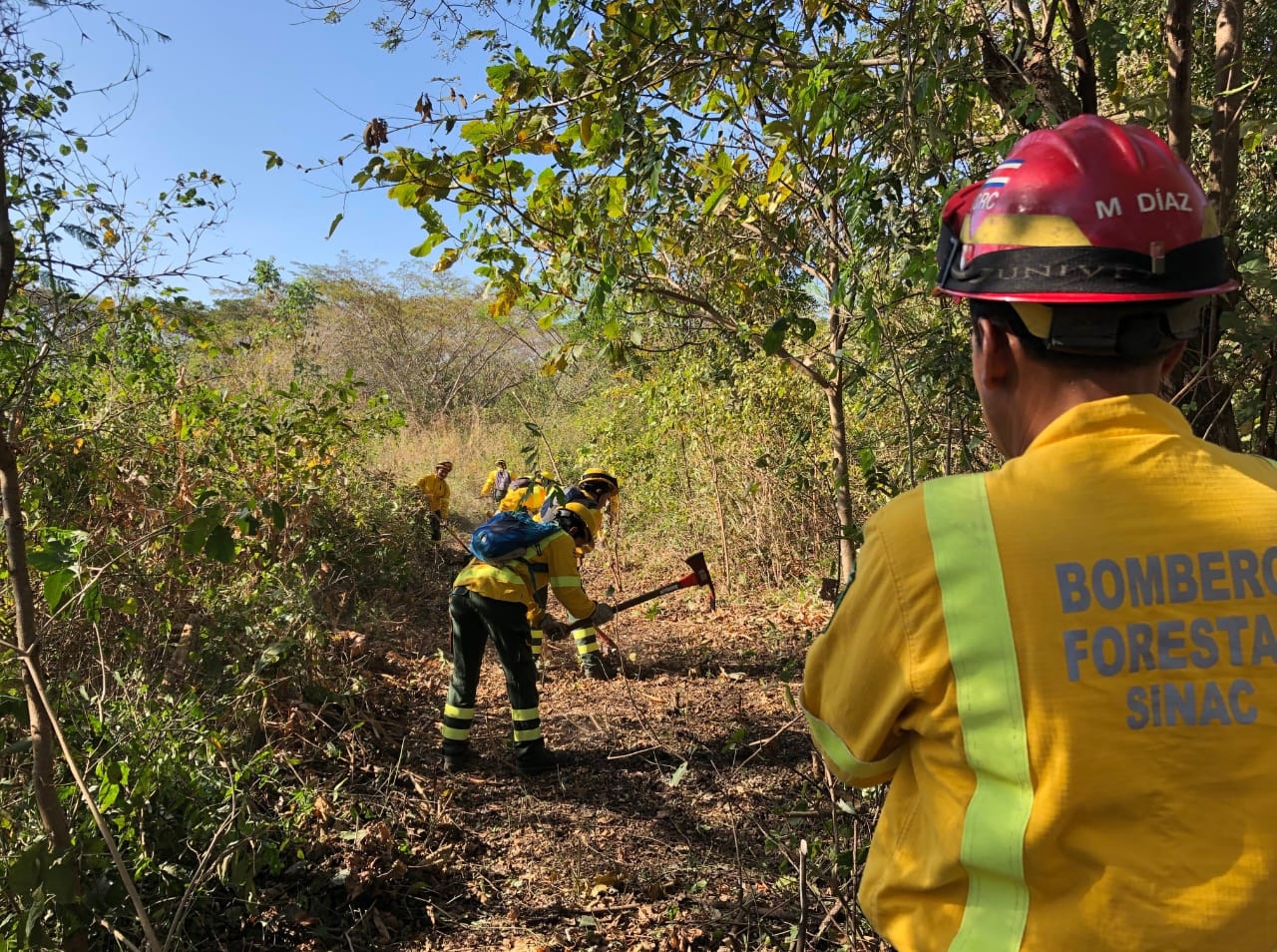 Imagen principal del artículo: Inicia la temporada de incendios 2026: autoridades llaman a extremar medidas de prevención