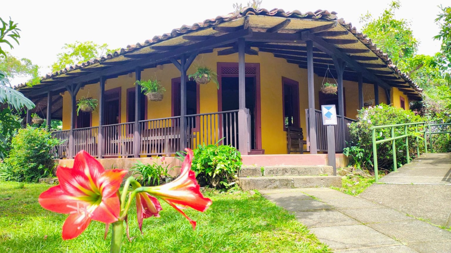 Imagen principal del artículo: Museo de Cultura Popular celebrará su 32 aniversario con actividades dedicadas a la caficultura