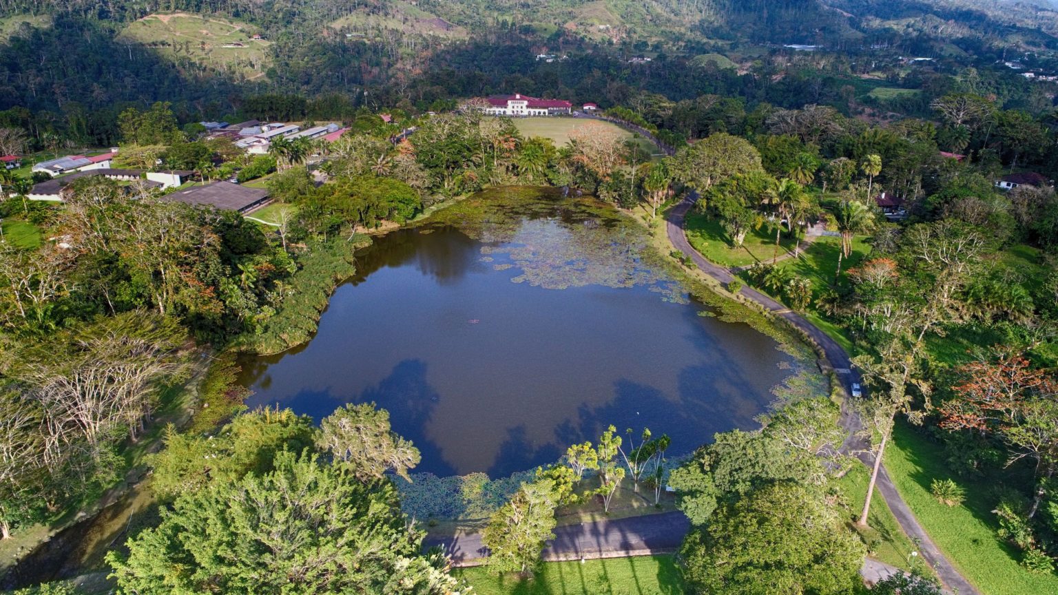 Imagen principal del artículo: CATIE completa envío internacional de semillas para resguardo global de la biodiversidad agrícola