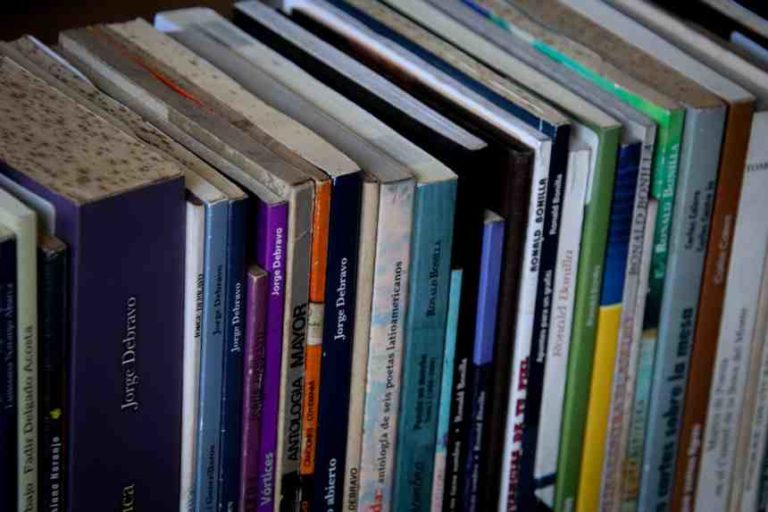 Día Nacional de la Poesía se celebrará con una agenda cultural que une palabra, arte y memoria