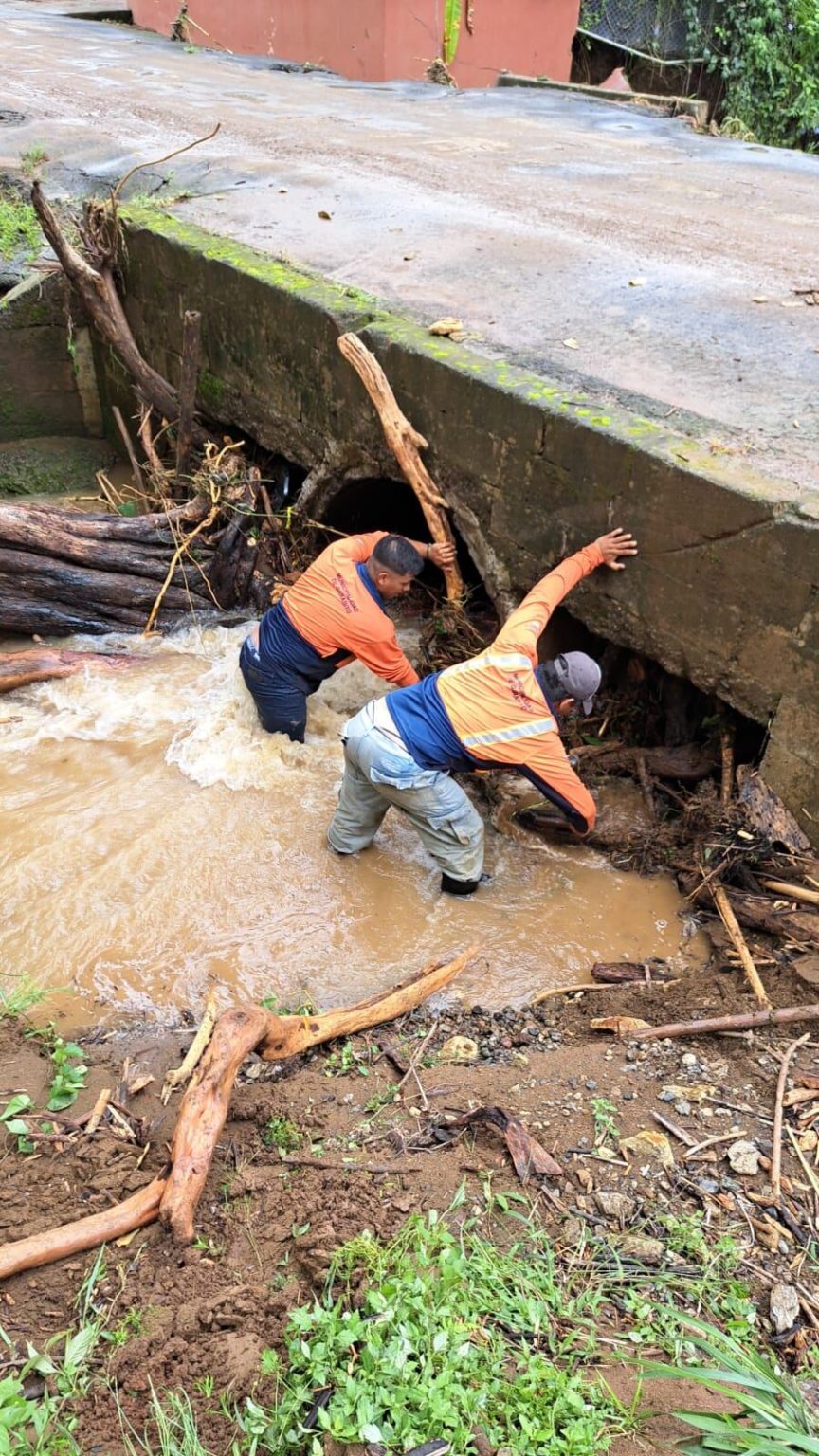 Imagen principal del artículo: Sala Constitucional da tres días al alcalde de Garabito para responder por presunta desobediencia en caso ambiental