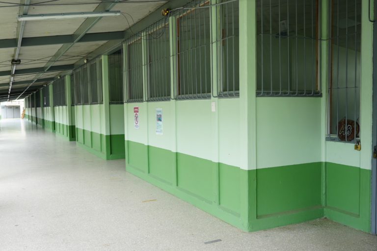 Juegos Deportivos Nacionales también impactan la educación costarricense