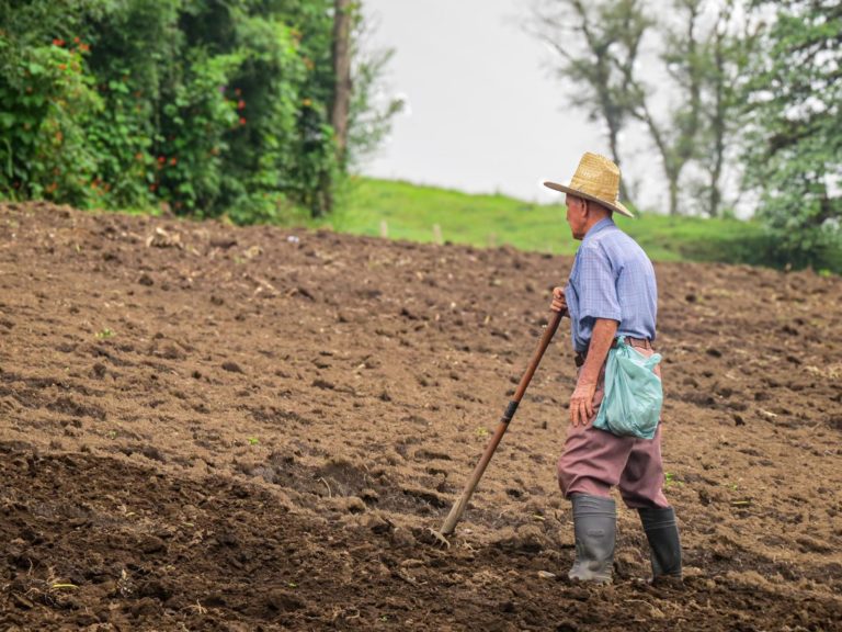 Municipalidad de Alvarado rechaza mención de Rodrigo Chaves sobre agricultores del cantón