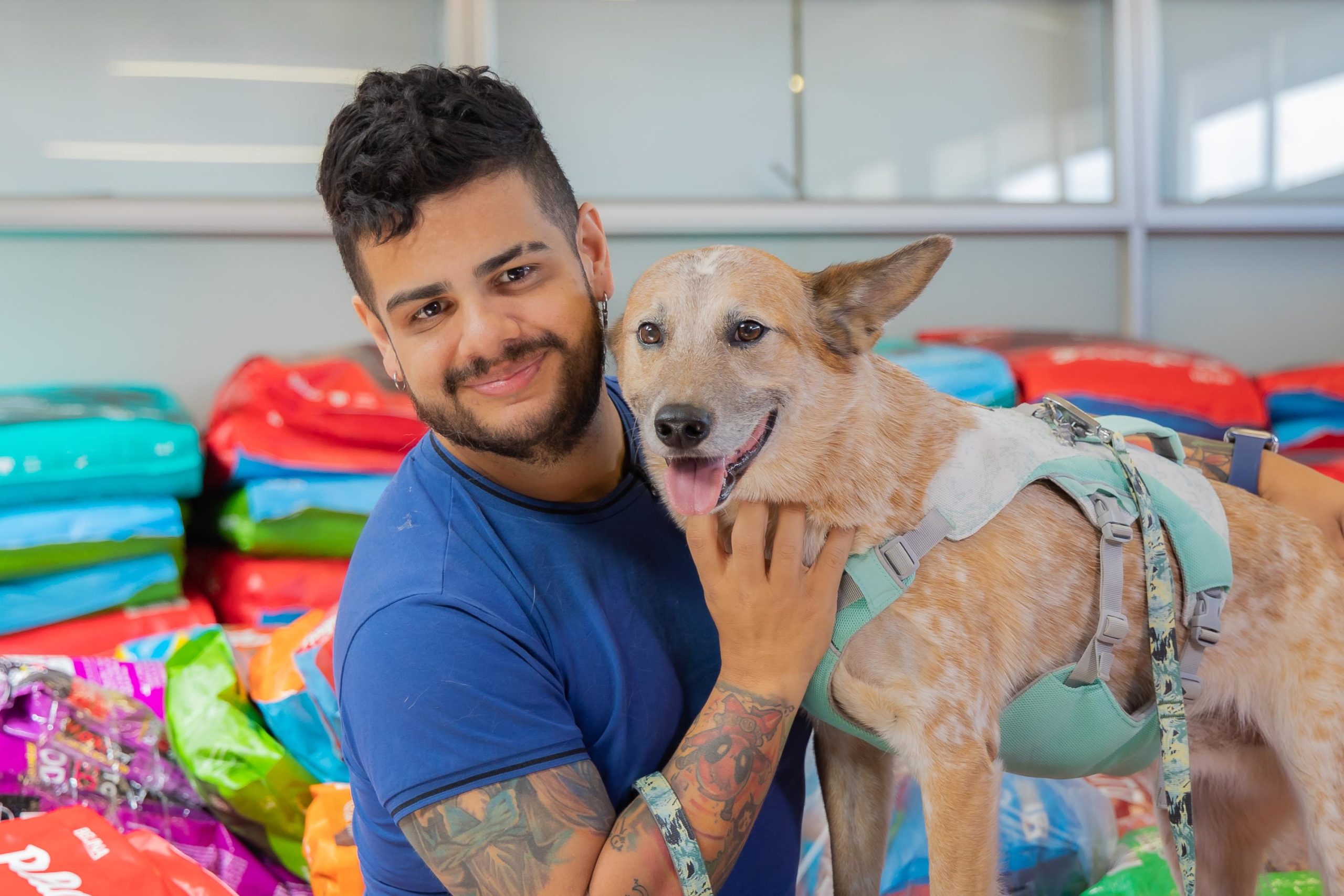 Imagen principal del artículo: Hyundai Grupo Q recolecta más de 20 toneladas de alimento para perros en su Zaguatón Navideño 2025