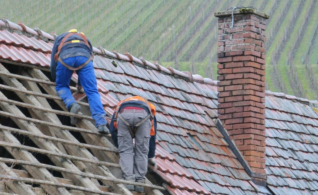 Reconstruir la casa común tras el incendio