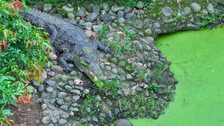 "Ecotec" celebra 25 años como aula viva para la conservación de la biodiversidad