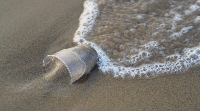 Elecciones 2026: el silencio político ante los plásticos de un solo uso