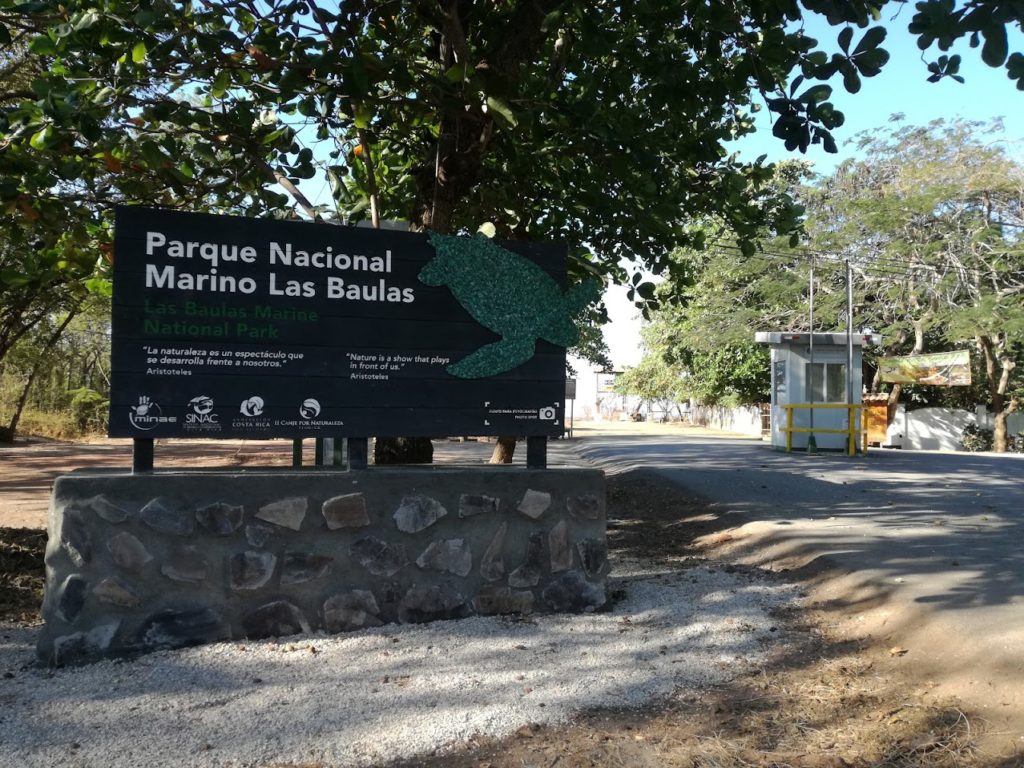 Estudio científico asocia la expansión inmobiliaria en Parque Nacional Las Baulas con aumento en depredación de nidos de tortuga