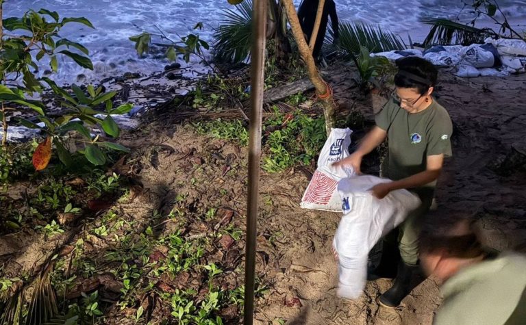 Minae cierra dos senderos en el Parque Nacional Cahuita por afectación del Frente Frío 14