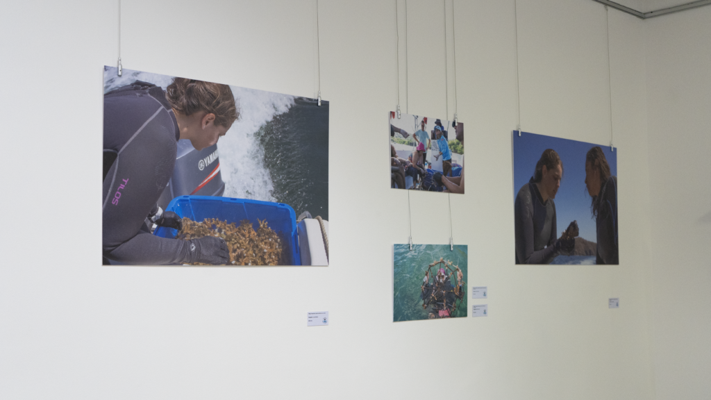 Morpho Costa Rica inaugura exposición y lanza Red de Turismo Científico e Investigativo