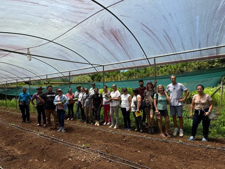 Impulsan biofábricas campesinas que reducen en más de 80% uso de agroquímicos