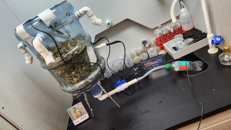 Prototipo de biorreactor transforma desechos de piña en soluciones agrícolas