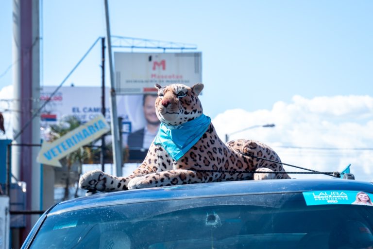 El rugido del jaguar: cómo la identidad política selló el oficialismo en Costa Rica