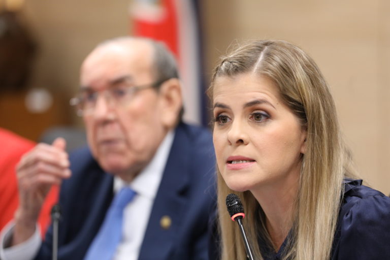 Doble investidura y quiebre del principio de separación de poderes