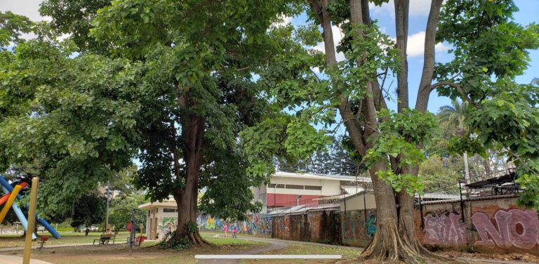 Embajadas y delegaciones de 11 países participarán en el primer Festival Gastronómico de Curridabat