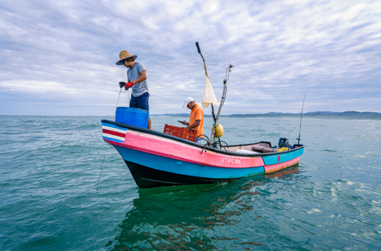 FAO, MAG e Incopesca impulsan proyecto para fortalecer la pesca artesanal y la acuicultura en Costa Rica