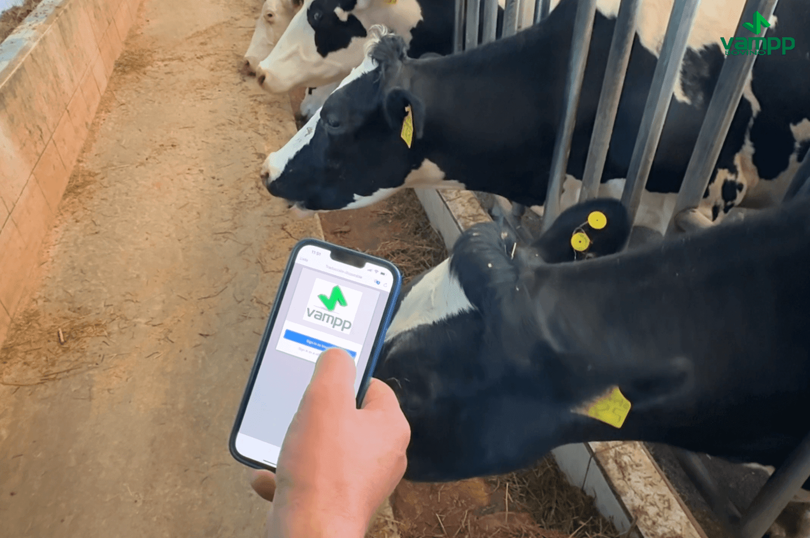 Imagen principal del artículo: Software desarrollado por la UNA permite gestionar hatos bovinos en tiempo real desde la nube