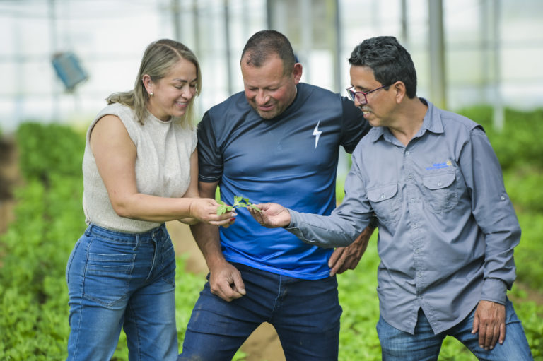 De tradición del campo a modelo productivo moderno: la  historia de Agrícola La Pradera en Zarcero