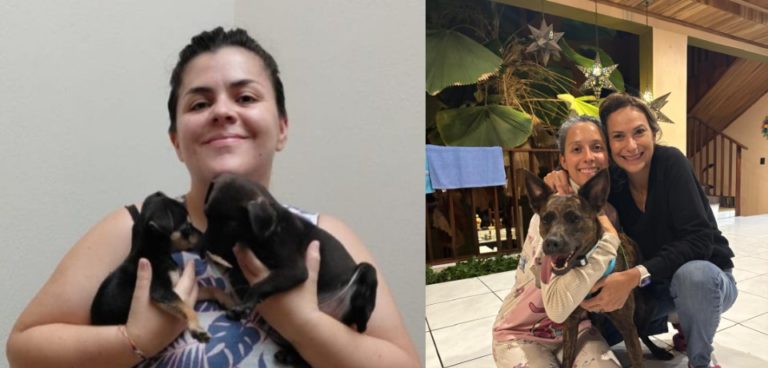 Peluditos al Rescate: tres mujeres buscan cambiar la historia de perritos abandonados y darles una segunda oportunidad
