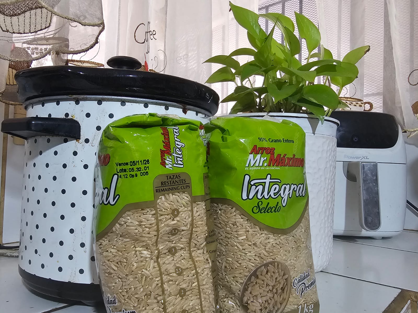 Imagen principal del artículo: La Maquila Lama: Ticos desaprovechan beneficios nutricionales del arroz integral