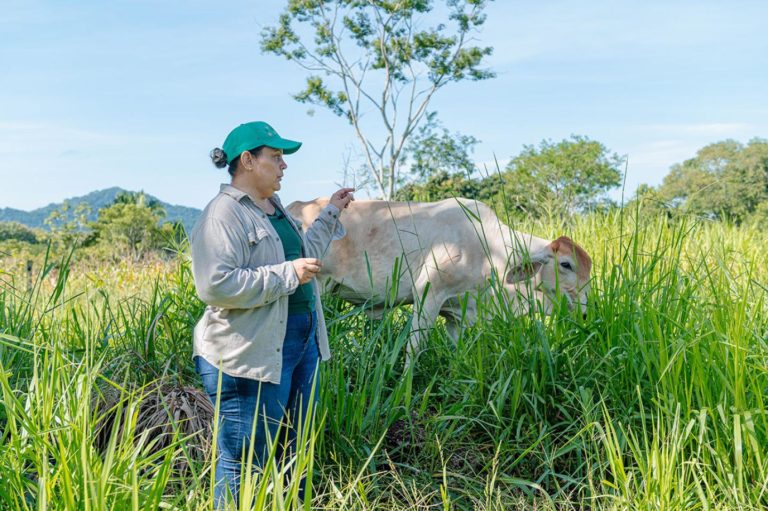 FAO y la Corporación Ganadera impulsan el liderazgo de las mujeres para transformar la ganadería en Guanacaste