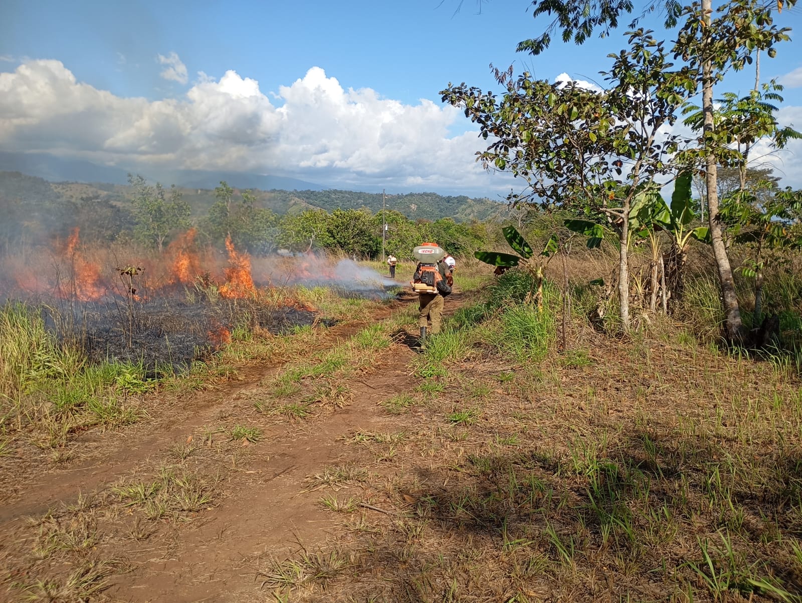 Imagen principal del artículo: Líder indígena Pablo Sibar denuncia incendio provocado en finca recuperada