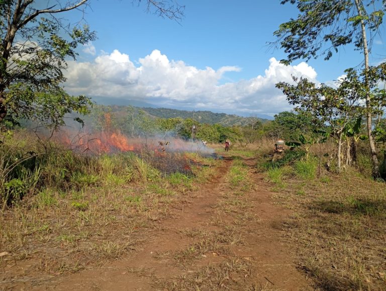 Pablo Sibar: incendio en finca recuperada “no es un hecho aislado”, denuncia inacción estatal en Térraba