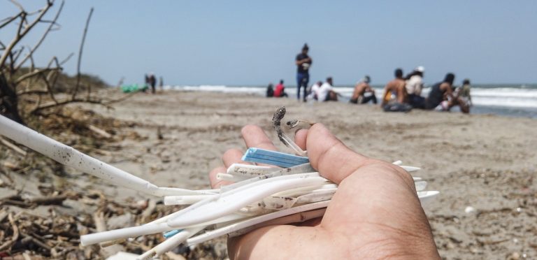 La importancia del cuidado ambiental en América Latina