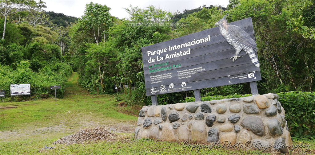 447 incendios forestales han afectado el Parque La Amistad durante 8 años